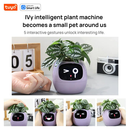 Ivy Tuya Smart Planter