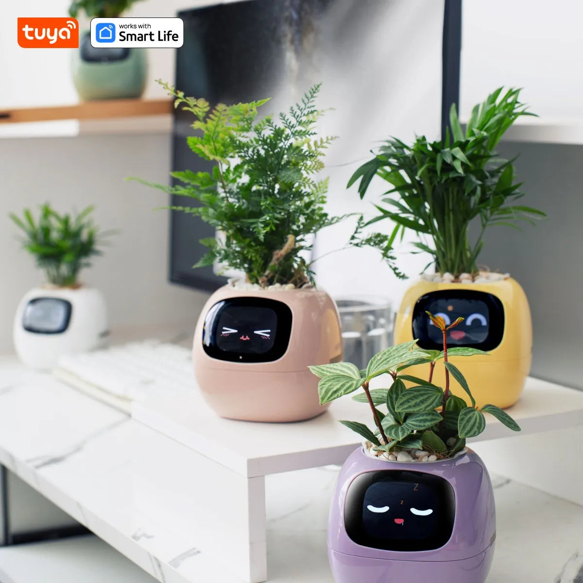 Ivy Tuya Smart Planter