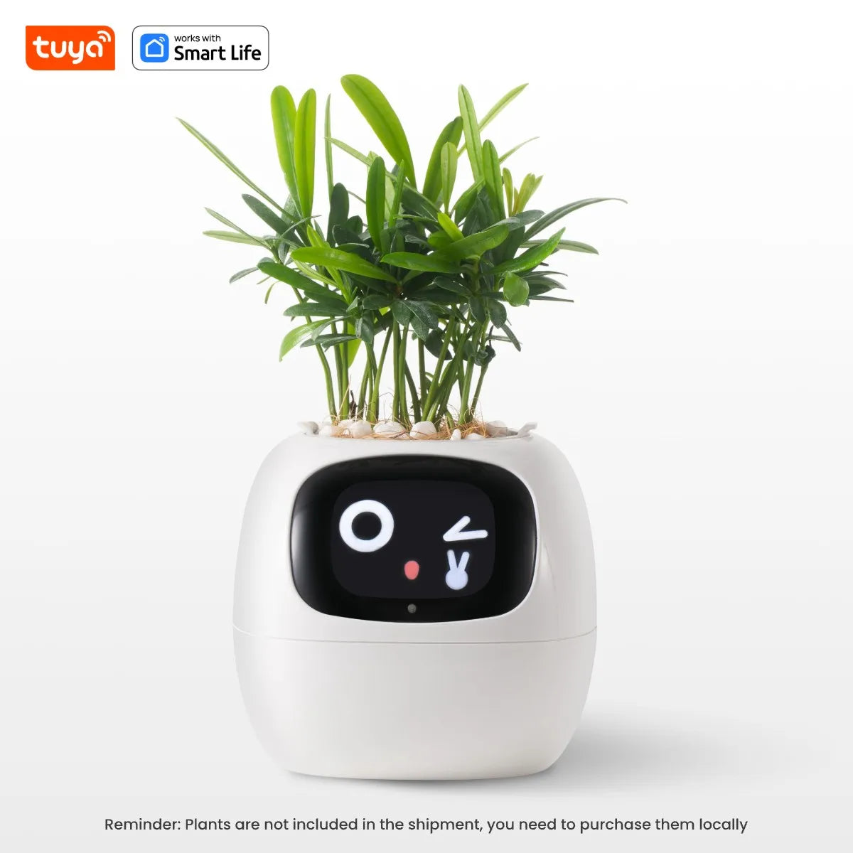 Ivy Tuya Smart Planter
