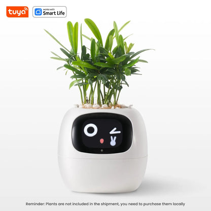Ivy Tuya Smart Planter
