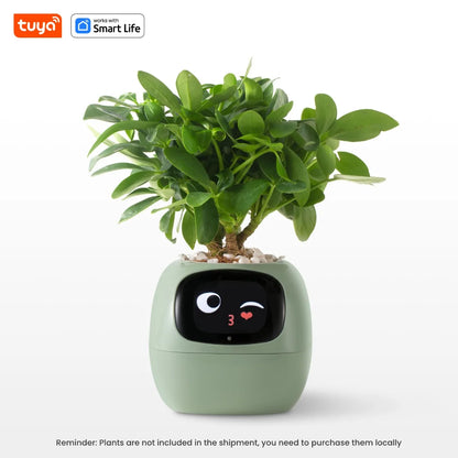 Ivy Tuya Smart Planter